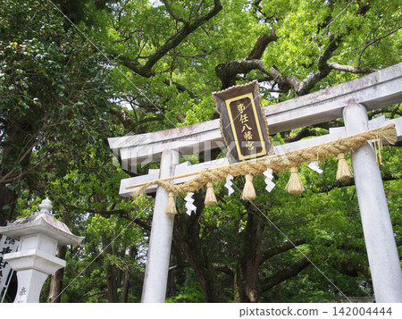 Kotomama Hachimangu Shrine, Torii Gate, May Kotomama Hachimangu Shrine, Torii Gate, May 142004444