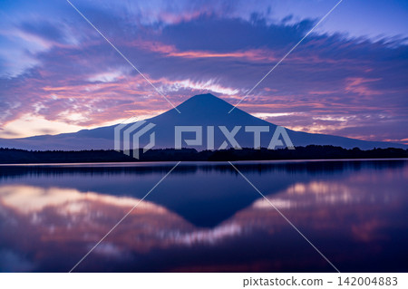 (靜岡縣)富士山和狸湖的日出 - 秋季 (靜岡縣)富士山和狸湖的日出 - 秋季 142004883