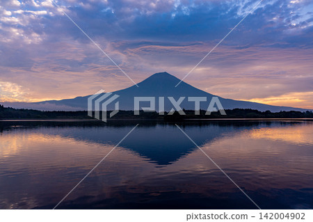 (靜岡縣)富士山和狸湖的日出 - 秋季 (靜岡縣)富士山和狸湖的日出 - 秋季 142004902
