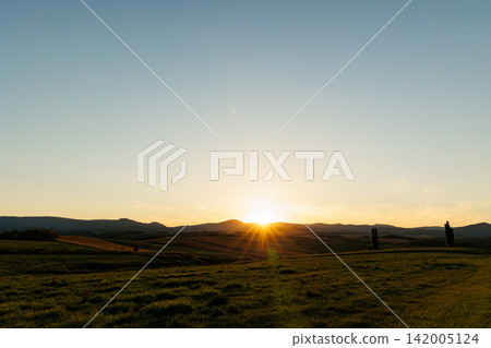 美瑛的山丘和兩棵白楊樹沐浴在夕陽中（北海道的秋天） 142005124