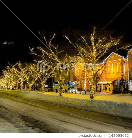 [Image cropping and aspect ratio change added] Winter at Hakodate Meijikan 142005672