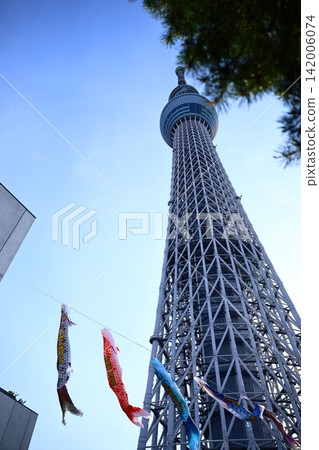 東京天空樹和鯉魚飄帶 東京天空樹和鯉魚飄帶 142006074