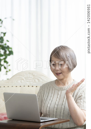 Senior woman using a computer in the living room Senior woman using a computer in the living room 142006981
