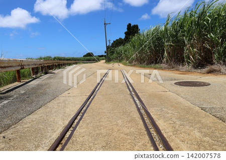 沖繩南大東島上廢棄的運糖火車鐵軌。 沖繩南大東島上廢棄的運糖火車鐵軌。 142007578