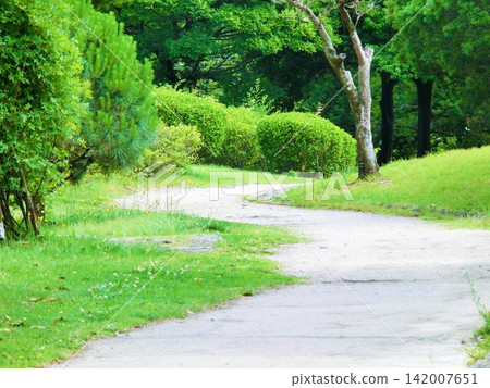 Park walking paths and lush greenery Park walking paths and lush greenery 142007651