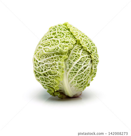 Green, kale and vegetable in studio and fresh for diet, nutrition and wellness for vegan. Raw cabbage or produce and healthy for salad or food, natural with vitamins and leaves for eating with color Green, kale and vegetable in studio and fresh for diet, nutrition and wellness for vegan. Raw cabbage or produce and healthy for salad or food, natural with vitamins and leaves for eating with color 142008273