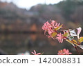 秋天的風景 142008831