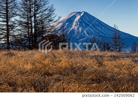 The grasslands of Mitsutoge and Kinashiyama, and Mount Fuji in the early morning. The grasslands of Mitsutoge and Kinashiyama, and Mount Fuji in the early morning. 142009062