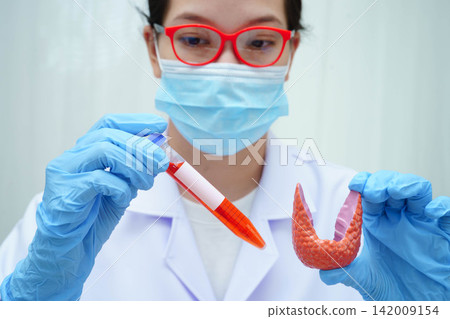 Doctor holding thyroid gland model and blood sample test tube in laboratory. Doctor holding thyroid gland model and blood sample test tube in laboratory. 142009154
