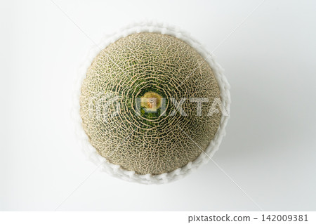 三浦甜瓜:美麗的網狀紋理,與醒目的綠色形成鮮明對比。這是一張夏季拍攝的優質甜瓜照片。 三浦甜瓜:美麗的網狀紋理,與醒目的綠色形成鮮明對比。這是一張夏季拍攝的優質甜瓜照片。 142009381