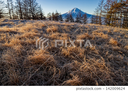 清晨的御津峠和木梨山草原,以及富士山。 清晨的御津峠和木梨山草原,以及富士山。 142009624