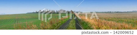 Banner, land and nature for farming outdoor, blue sky and wheat field for agriculture with sustainability, growth and eco. Meadow, Switzerland countryside and ecosystem, biodiversity and landscape Banner, land and nature for farming outdoor, blue sky and wheat field for agriculture with sustainability, growth and eco. Meadow, Switzerland countryside and ecosystem, biodiversity and landscape 142009652
