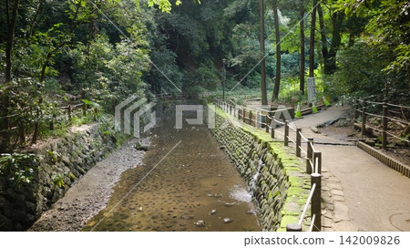 The clear stream and stone-paved walking path of Todoroki Valley, where sunlight filters through the trees. The clear stream and stone-paved walking path of Todoroki Valley, where sunlight filters through the trees. 142009826