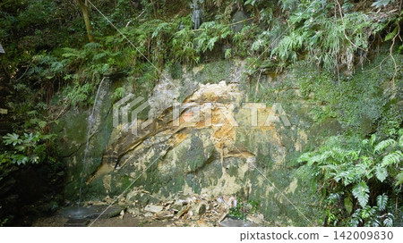 The damp cliffs and moss-covered rock faces of Todoroki Valley The damp cliffs and moss-covered rock faces of Todoroki Valley 142009830