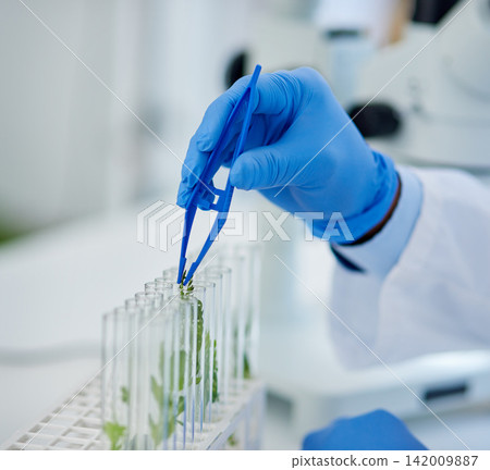 Hand, test tubes and plants for research, medical and pharmaceutical development for health care. Scientist, laboratory and discovery for innovation, life extension and professional biochemistry Hand, test tubes and plants for research, medical and pharmaceutical development for health care. Scientist, laboratory and discovery for innovation, life extension and professional biochemistry 142009887