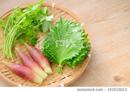 Three kinds of summer condiments (perilla leaves, Japanese ginger, and small mitsuba leaves) Three kinds of summer condiments (perilla leaves, Japanese ginger, and small mitsuba leaves) 142010013