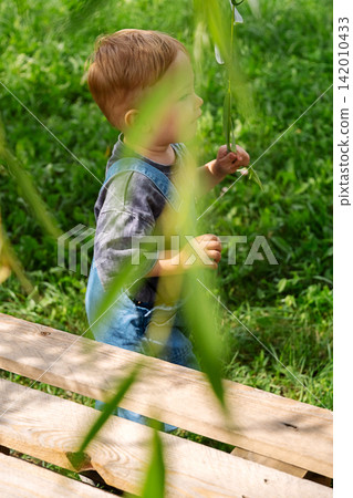 Young boy exploring nature while holding leafy plant. Young boy exploring nature while holding leafy plant. 142010433