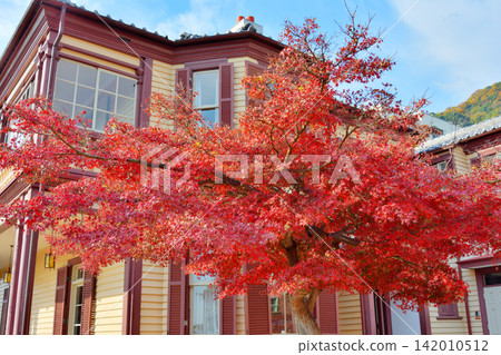 Autumn leaves in Kitano-cho, Kobe 142010512