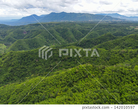 Aerial view forest trees background jungle nature green tree on the mountain top view , forest hill landscape scenery of river in southeast Asia tropical wild Aerial view forest trees background jungle nature green tree on the mountain top view , forest hill landscape scenery of river in southeast Asia tropical wild 142010597