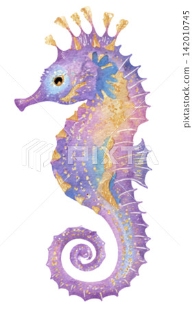sea horse sea horse 142010745