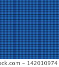 Blue Gingham Checkered Seamless Pattern 142010974