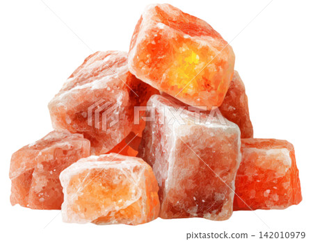 salt salt 142010979