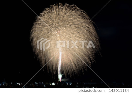 開花在夜空的一朵大花 開花在夜空的一朵大花 142011184