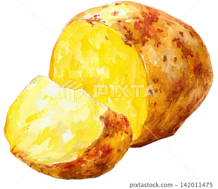 potato 142011475