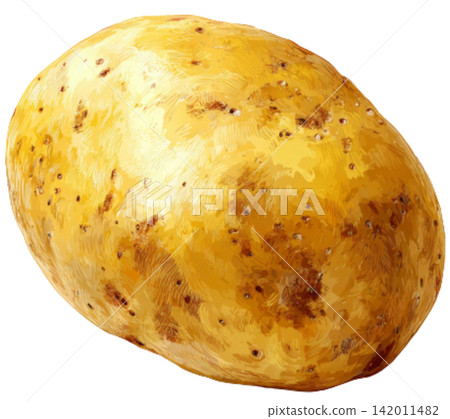 potato potato 142011482