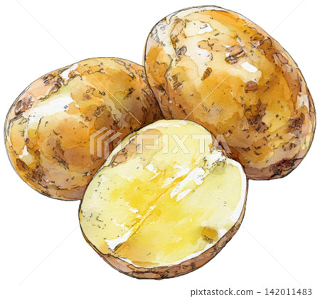 potato potato 142011483