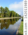 Maeda Forest Park's row of poplars 142011989