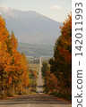 A path leading to the snow-covered mountains in autumn 142011993