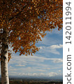 Autumn foliage trees and the Tokachi Mountain Range visible in the distance. 142011994