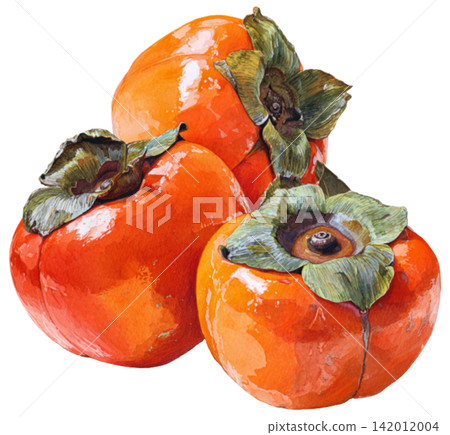 Persimmon fruit Persimmon fruit 142012004