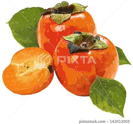 Persimmon fruit 142012005