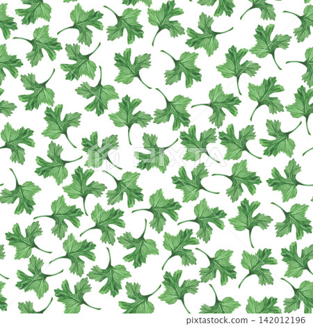 Seamless patern of the parsley leaves. Watercolor illustration. Handmade art work. For packaging design, cards, cover, prints, product labels and fabric. Seamless patern of the parsley leaves. Watercolor illustration. Handmade art work. For packaging design, cards, cover, prints, product labels and fabric. 142012196
