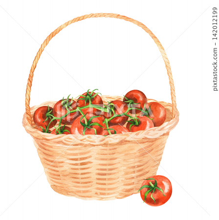 Straw basket with the tomatoes. Watercolor illustration. Handmade art work. For packaging design, cards, cover, prints, product labels and fabric. Straw basket with the tomatoes. Watercolor illustration. Handmade art work. For packaging design, cards, cover, prints, product labels and fabric. 142012199