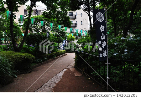 The approach to Hakusan Shrine in early summer, adorned with banners and lanterns for the hydrangea festival. 142012205