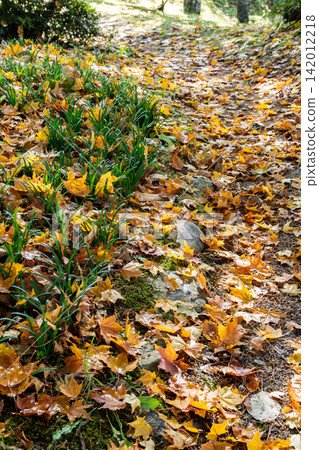 An autumn walking path buried in fallen leaves An autumn walking path buried in fallen leaves 142012218
