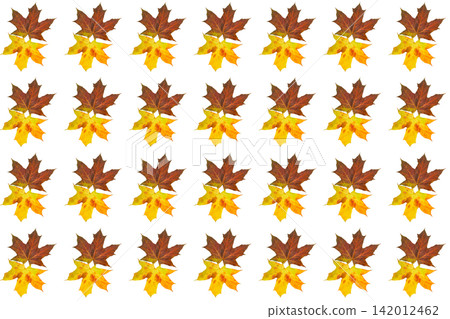 Yellow brown autumn leaves pattern for decoration Yellow brown autumn leaves pattern for decoration 142012462
