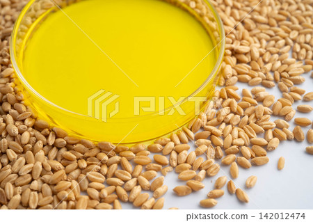 Rice paddy seed genetic natural chemistry laboratory product research. Rice paddy seed genetic natural chemistry laboratory product research. 142012474