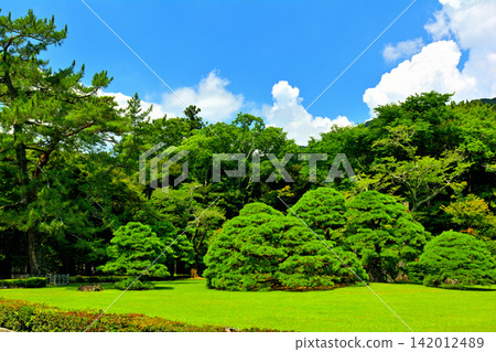 伊勢神社 伊勢神社 142012489