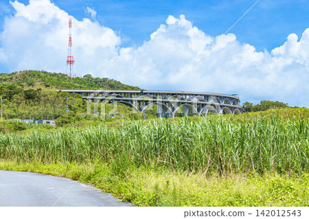 沖繩高速公路的連續拱橋和鬱鬱蔥蔥的綠色景觀 沖繩高速公路的連續拱橋和鬱鬱蔥蔥的綠色景觀 142012543