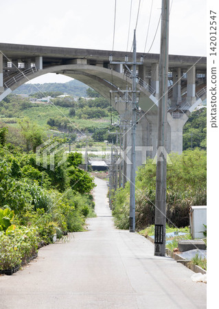 The continuous arch bridges of the Okinawa Expressway and the lush green landscape The continuous arch bridges of the Okinawa Expressway and the lush green landscape 142012547