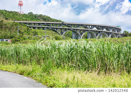 沖繩高速公路的連續拱橋和鬱鬱蔥蔥的綠色景觀 沖繩高速公路的連續拱橋和鬱鬱蔥蔥的綠色景觀 142012548