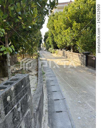 托納基島的主要街道 托納基島的主要街道 142012600