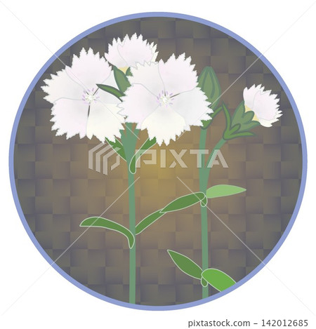 Illustration of a white dianthus with a circular background Illustration of a white dianthus with a circular background 142012685