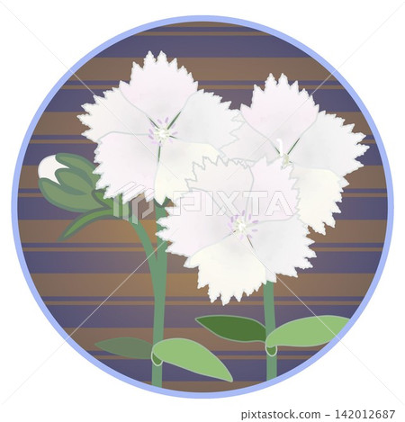 Illustration of a white dianthus with a circular background Illustration of a white dianthus with a circular background 142012687