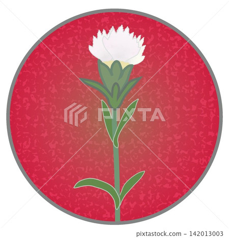 Illustration of a white dianthus with a circular background Illustration of a white dianthus with a circular background 142013003