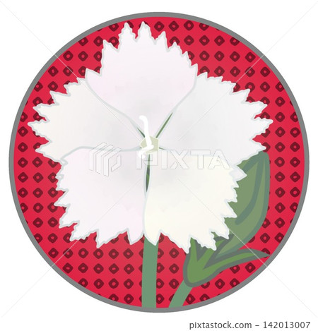 Illustration of a white dianthus with a circular background Illustration of a white dianthus with a circular background 142013007